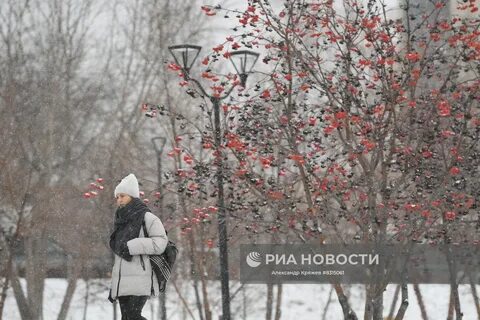 Минус 3 снег