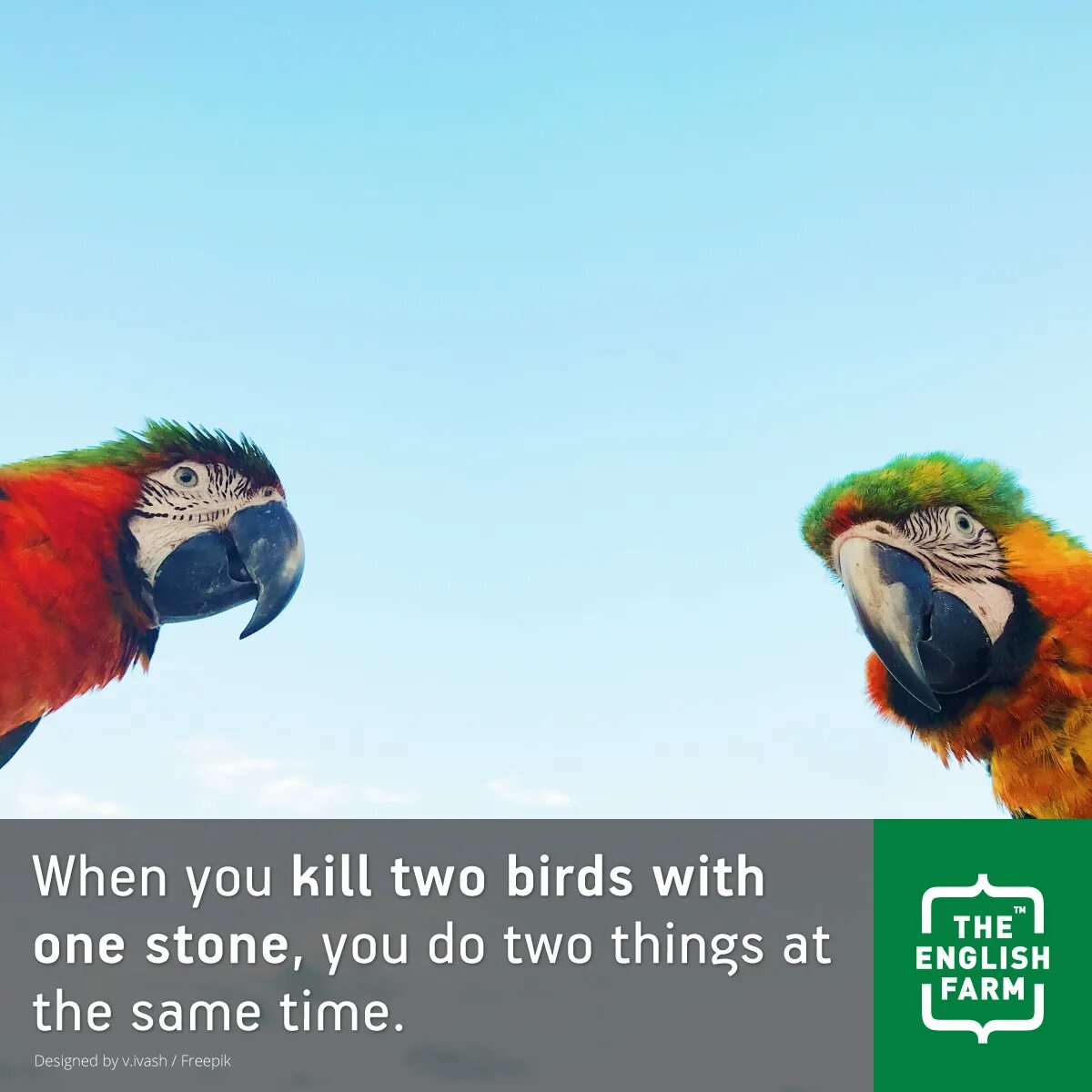 Two birds one stone. To Kill two Birds with one Stone идиома. Предложение с идиомой Kill two Birds with one Stone. Two Birds with one Stone. Kill two Birds with one Stone.