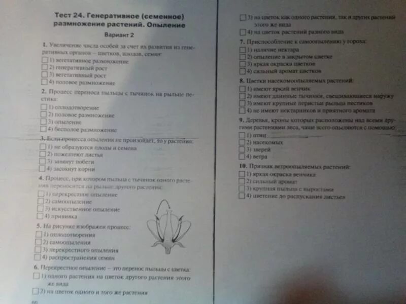 Итоговый тест биология 8. Тесты по биологии 9 класс с ответами Пасечник. Тест по биологии с ответами. Тесты по биологии 10 класс с ответами. Тесты по билогия и ответы.