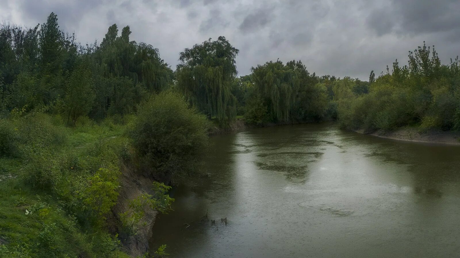 Река пасмурно. Дождь на реке. Дождь на речке. Природа панорама ливень. Река пасмурная