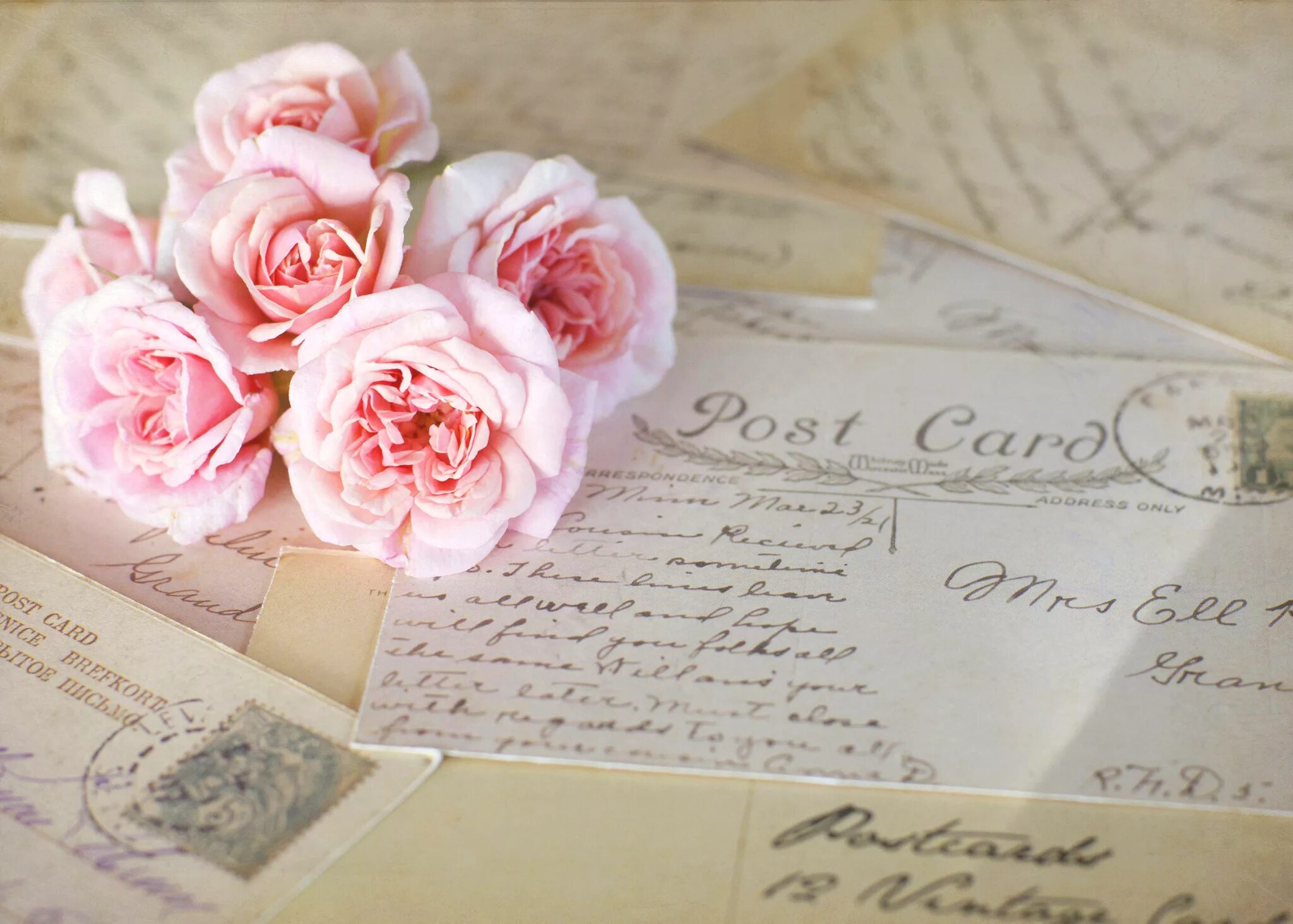 Самое нежное письмо. Письмо и цветы. Нежный цветок. Нежные послания. Красивый фон с розами.
