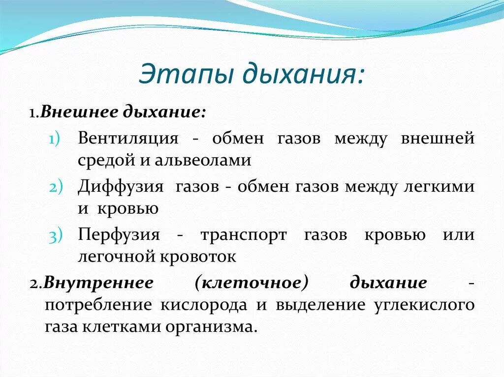 Последовательность этапов процесса дыхания. Этапы процесса дыхания. 2 Основные этапы дыхания. Логическая схема этапы дыхания. Этапы дыхания внешнее дыхание.