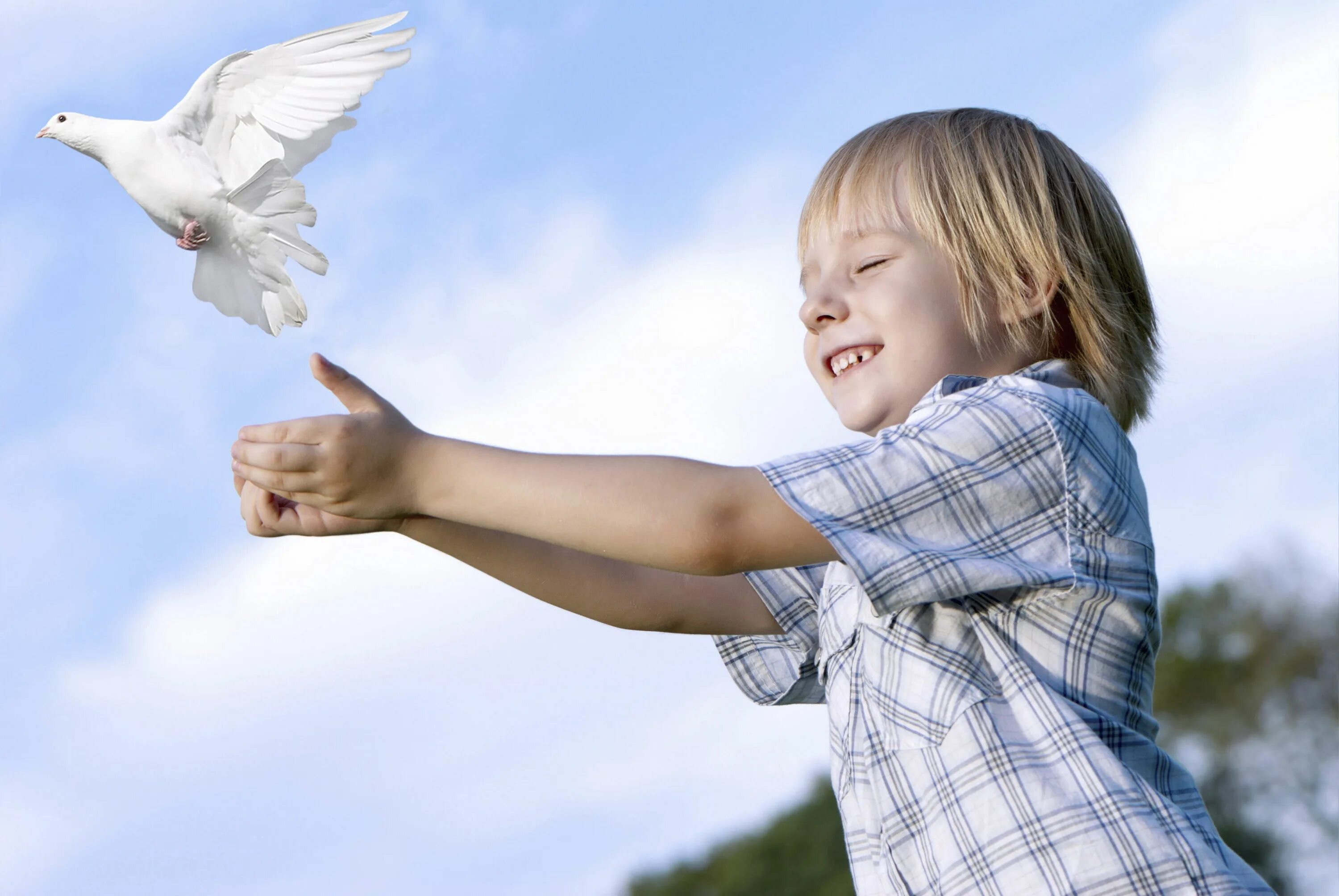 Мирная жизнь детей. Мирное небо дети. Мальчик с протянутыми руками. Птицы для детей. Дети голубей.