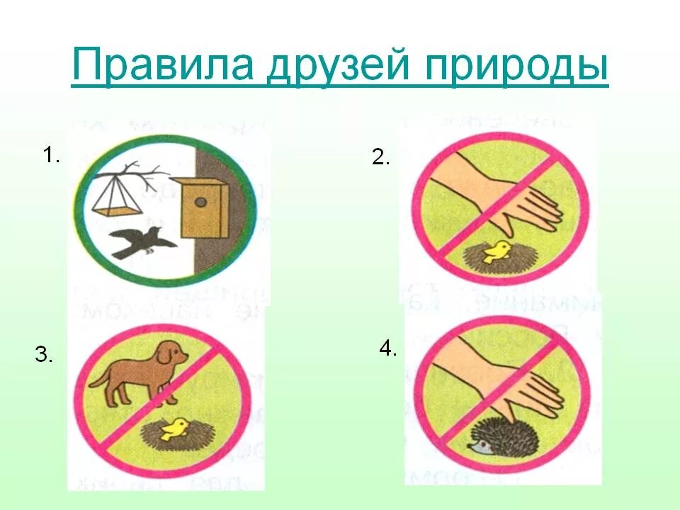 памятка друзей природы. правила по охране животных. презентация друзья природы. правила друзей природы 3 класс. правило друзей природы.