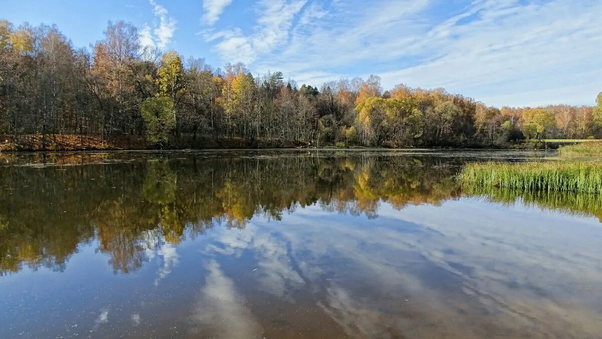 Пригород смоленска. Красивые озера смоленска. Набережная крепость собор днепр смоленск. Собор и крепостная стена смоленск. Пригород смоленска.