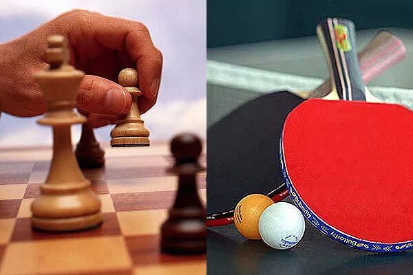 шахматы и настольный теннис. настольный теннис шахматы. шахматы и настольный теннис. шахматы спорт. шахматная доска 3д модель.