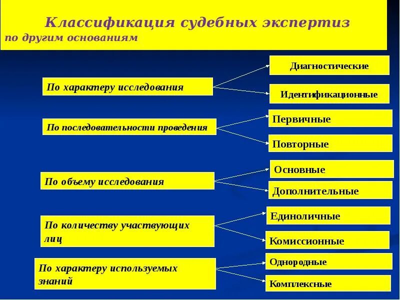 Список судебных экспертиз. Классификация судебных экспертиз. Классификация криминалистических экспертиз. Основания классификации судебных экспертиз. Классификация судебных экспертиз по последовательности проведения.