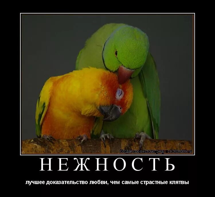 лучшее доказательство любви