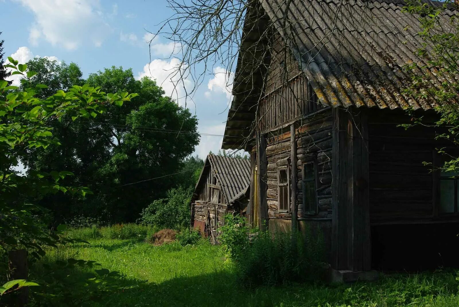 Деревня ул. Псковская область деревня деревеньки. Захолустье (деревня в Псковской области),. Глубинка России деревня. Деревенская улица.