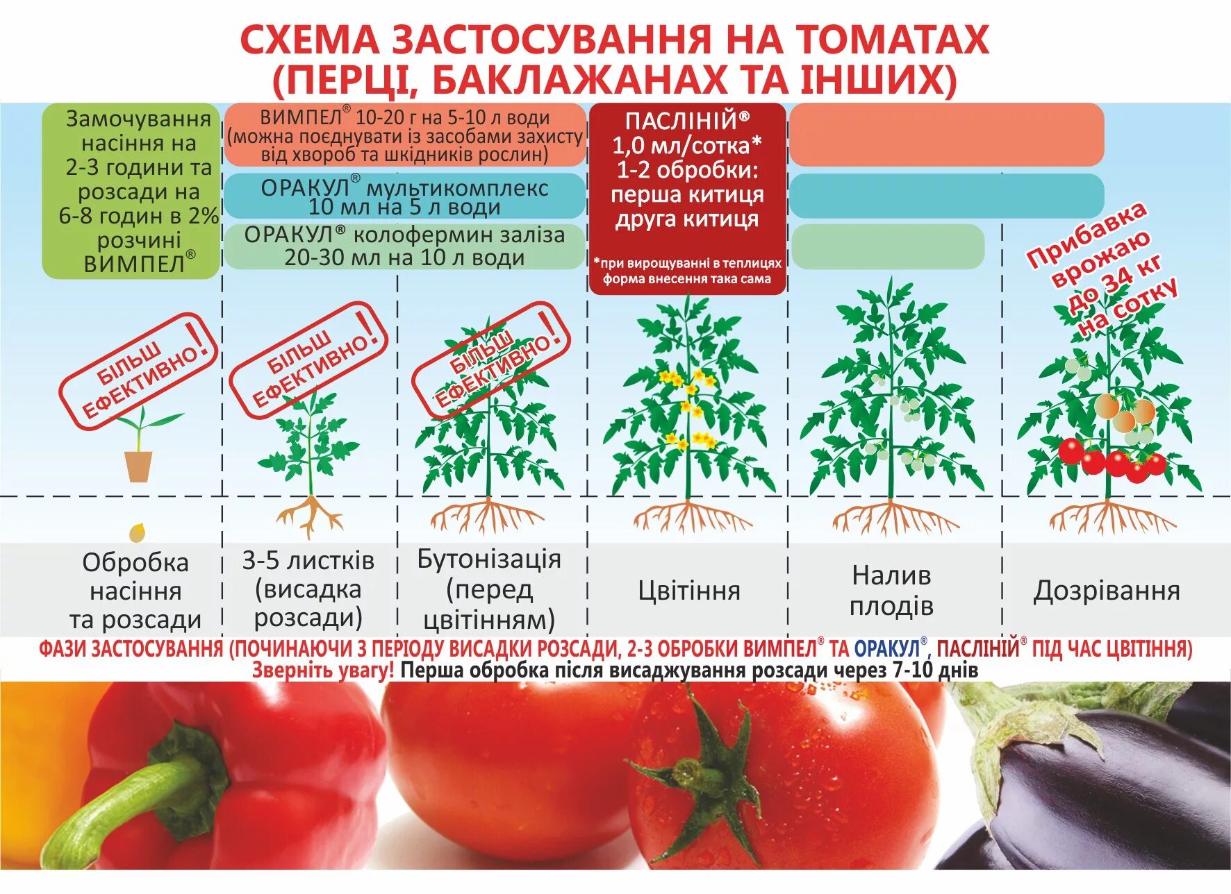 Схема питания томатов по фазам развития. Таблица удобрения томатов. Название подкормки для помидор. Схема подкормки томатов в парнике. Как подсвечивать томаты