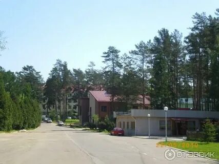 Стайки минск