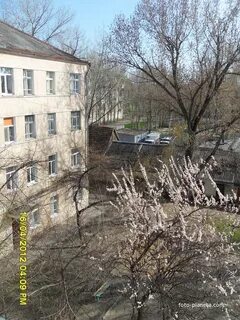 Токмак сегодня последние запорожская область