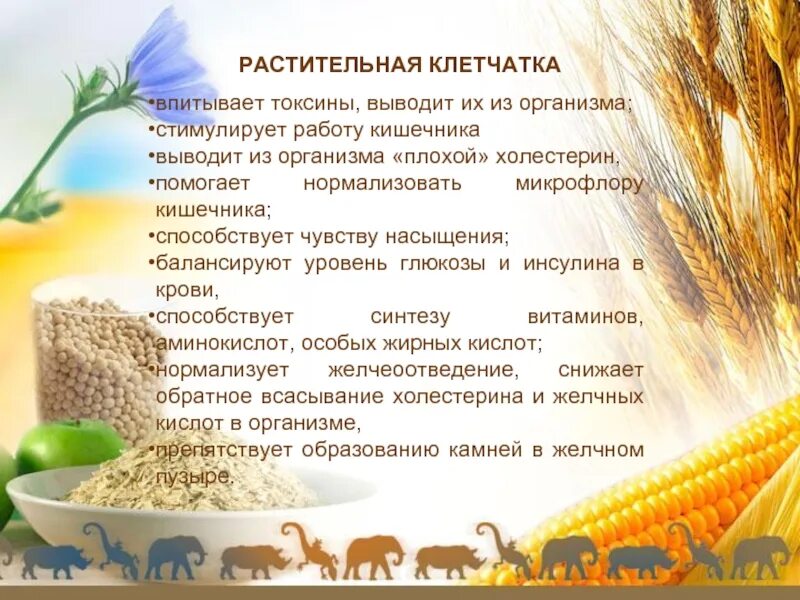 Какую функцию в организме выполняет клетчатка. Растительная клетчатка. растительные волокна в продуктах что это. растительные с волокнами клетчаткой. еда с растительной клетчаткой.