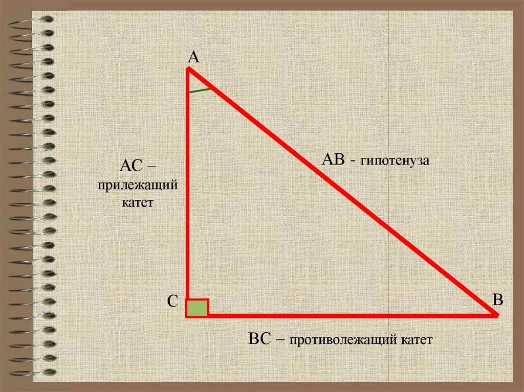 Прилежащий катет и противолежащий катет. Прилежащий катет к гипотенузе и противолежащий. Прилежащий катет к гипотенузе. Прилежащий катет противолежащий катет гипотенуза.