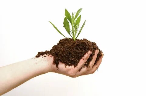 I like planting