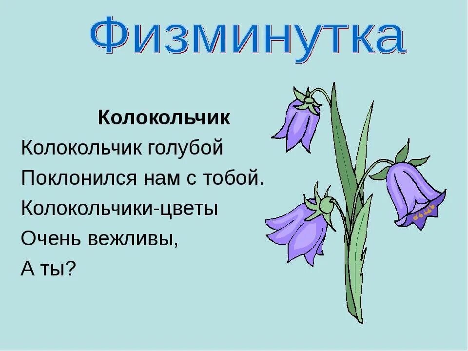 Колокольчик что делает. Колокольчики цветы очень вежливы. Загадки. Загадка про колокольчик. Сообщение о колокольчике.