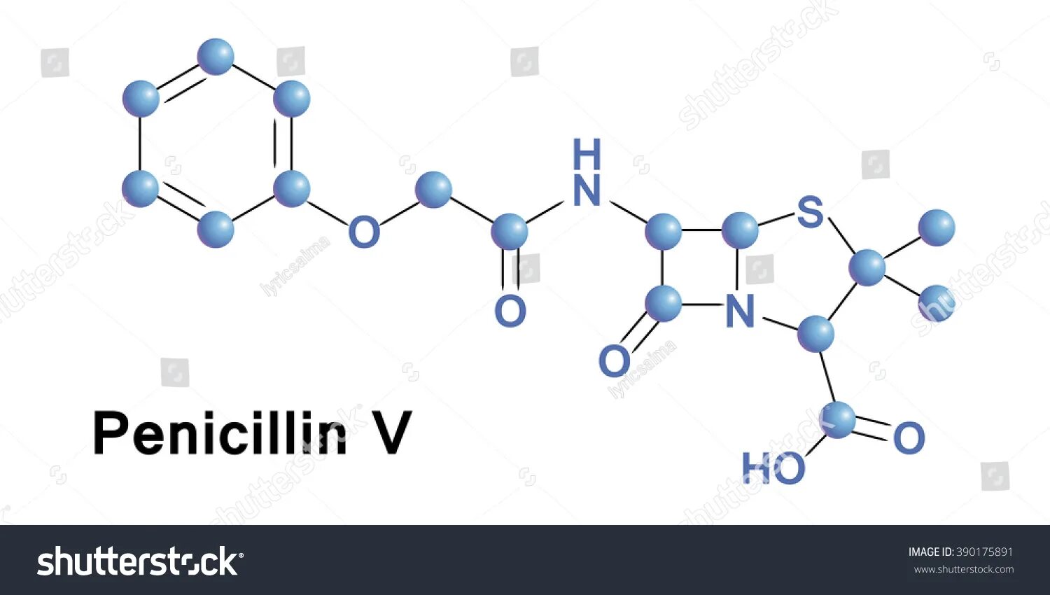 Пенициллин вектор. Молекула пенициллина. Бензилпенициллин (пенициллин g) структура. Пенициллин рисунок. Пенициллин 6