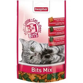 Лакомство для котят