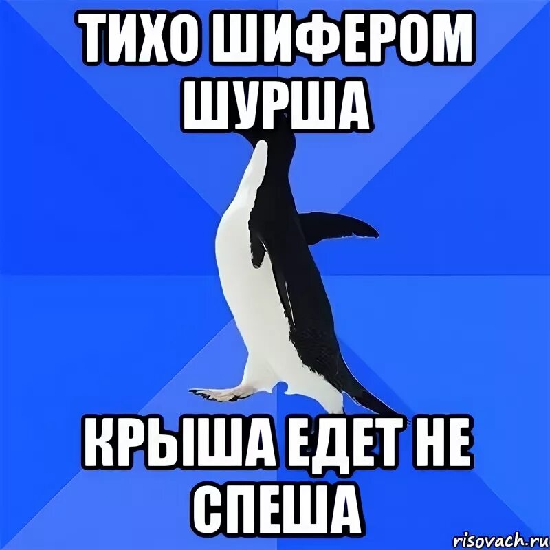 Тихо шифером шурши крыша едет не спеши. Крыша едет не спеша. Тихо шурша едет крыша неспеша. Крыша едет не спеша тихо шифером шурша стих. Тихо шифером шурша едет крыша не спеша