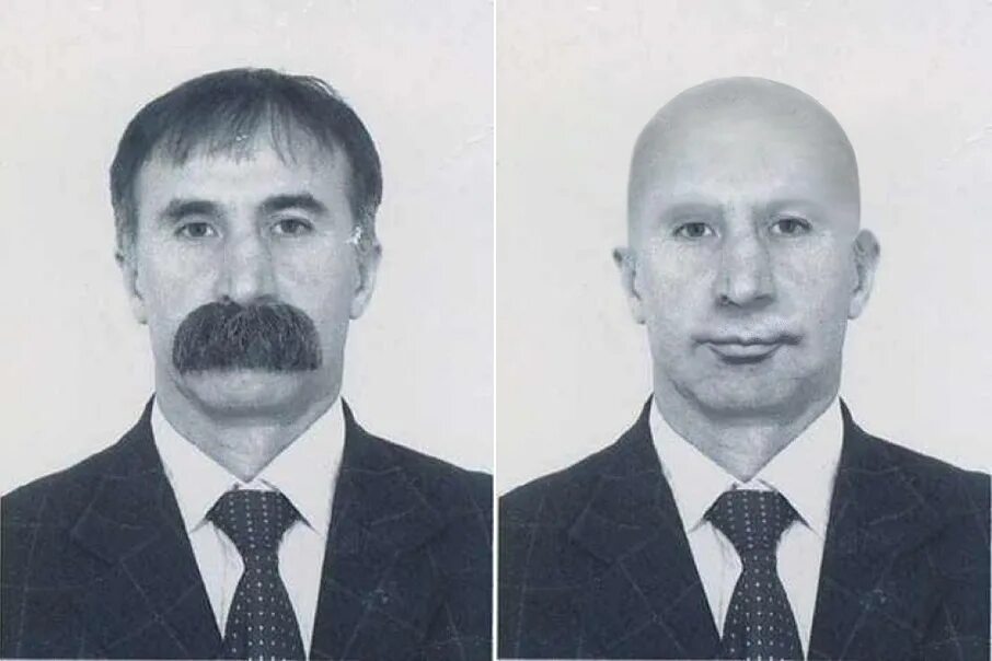 Гармонь и лосось песня
