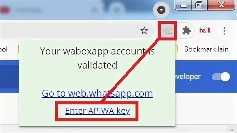 Enter link