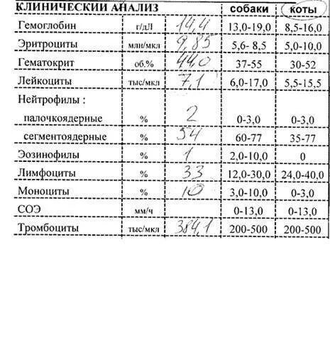 Анализ червя. Паразиты анализ крови показатели. Лямблиоз анализ крови показатели. Анализ крови при паразитах у ребенка. Как называется анализ на паразитов у детей.