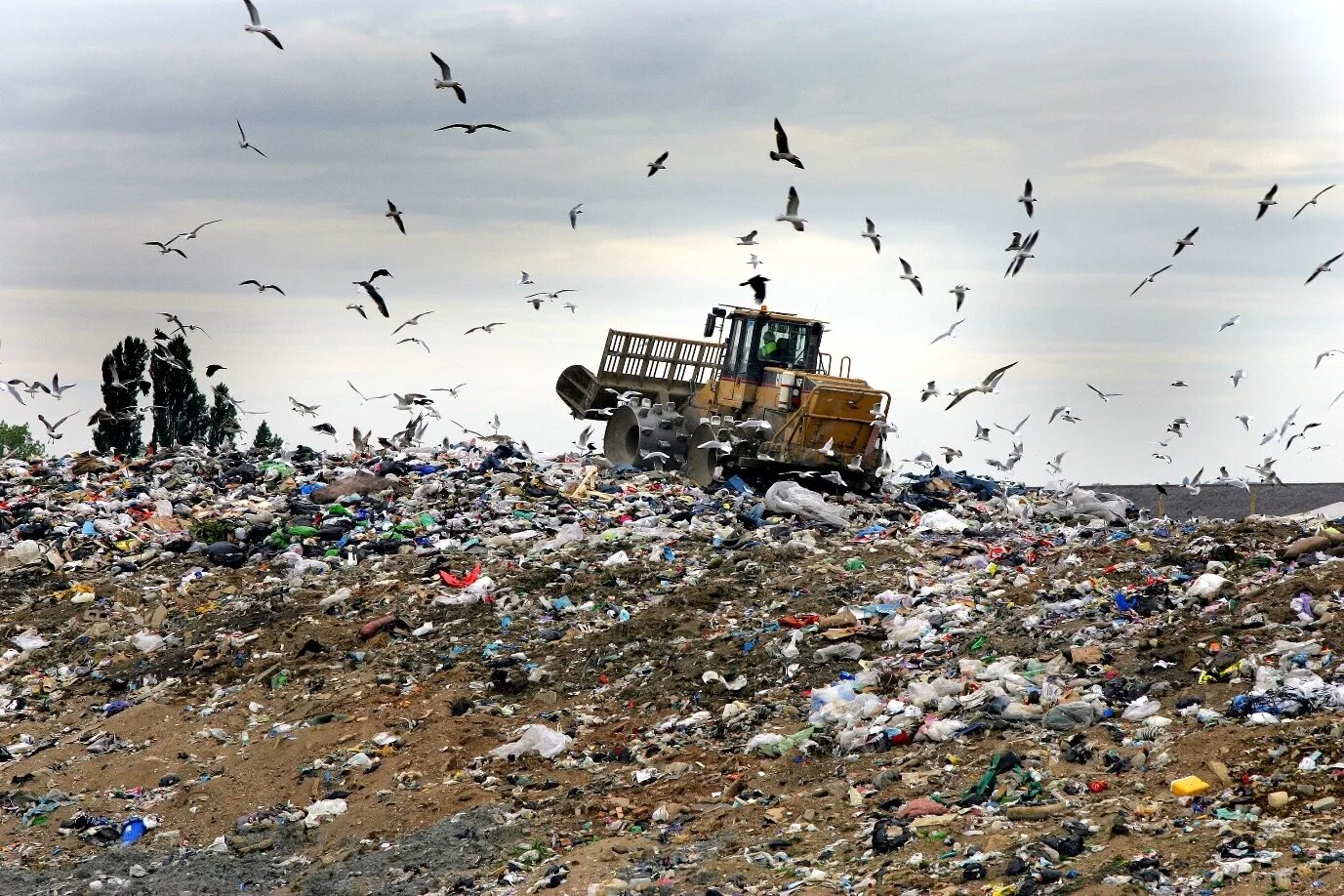 Загрязнение мусором окружающей. Мусорная свалка. Экология мусор. Загрязнение земли. Свалки бытового мусора.