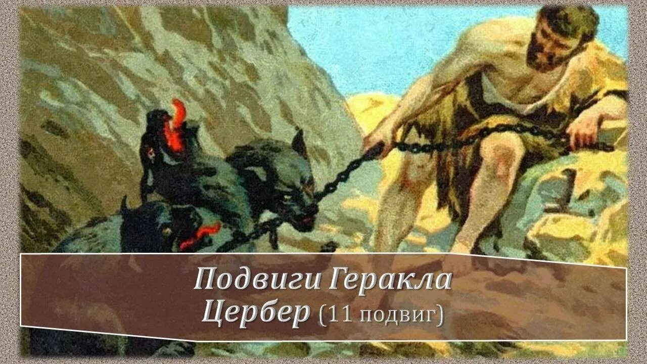 Литература 6 класс подвиги геракла слушать. Одиннадцатый подвиг Цербер (Кербер). 12 Подвигов Геракла Цербер. 11 Подвиг Геракла. Укрощение Цербера подвиг Геракла.