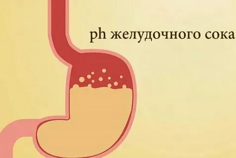 Какая рн среда в желудке