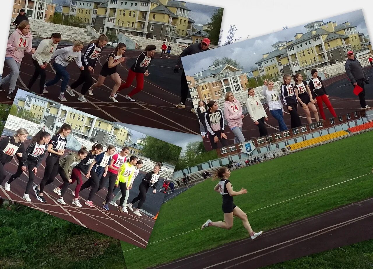 столетовых. влгу романовская. стрельцов влгу. институт туризма и предпринимательства влгу. влгу 5 корпус.