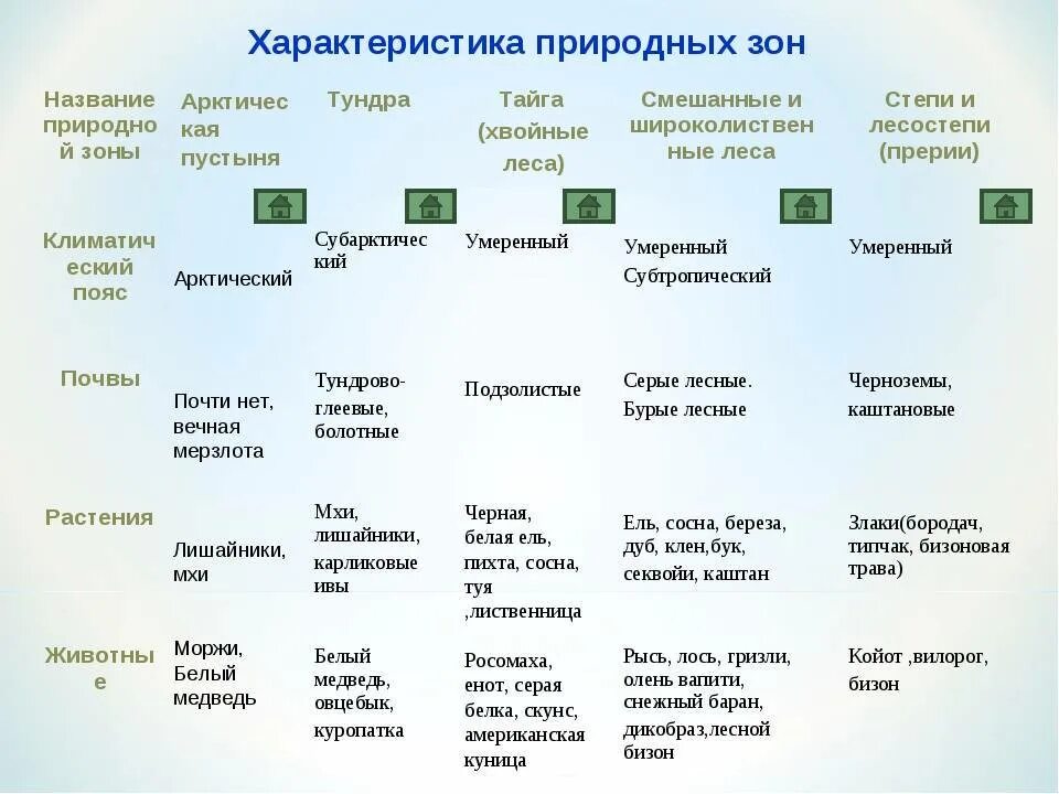 Описание какой природной зоны
