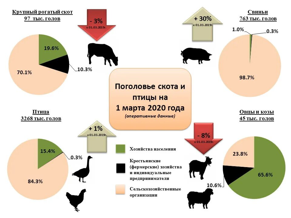 Страны по поголовью крупного рогатого. Поголовье крупного рогатого скота. Поголовье скота и птиц в России 2020. Мировое поголовье крупного рогатого скота. Структура поголовья скота.