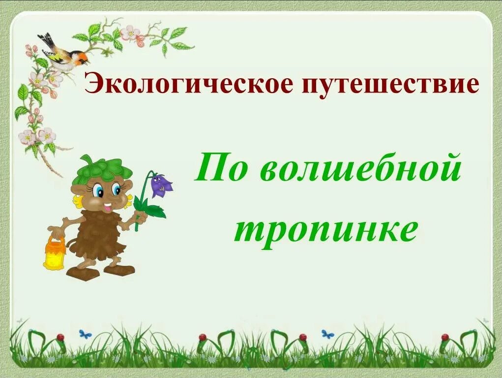 Проект путешествие по экологической тропе. Путешествие по экологии. Путешествие по лесным тропинкам. Экологичное путешествие. Экологическое путешествие презентация.
