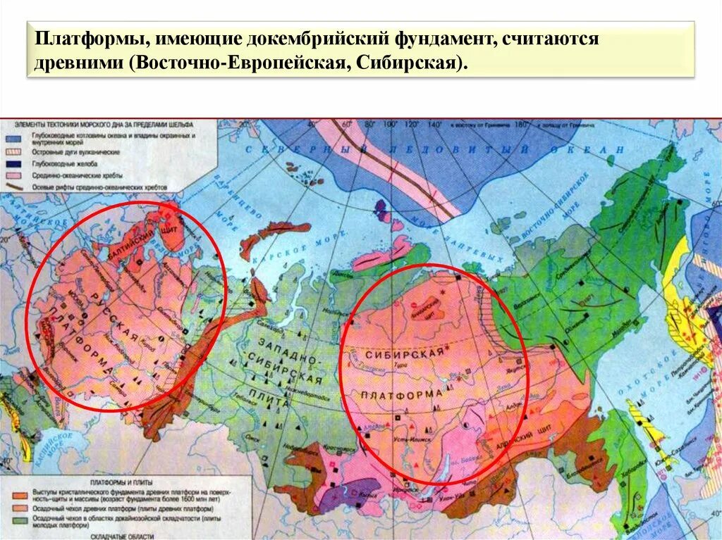 На какой тектонической структуре располагается