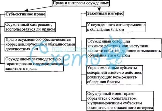 Свобод и законных интересов неопределенного. Субъективное право осужденного.