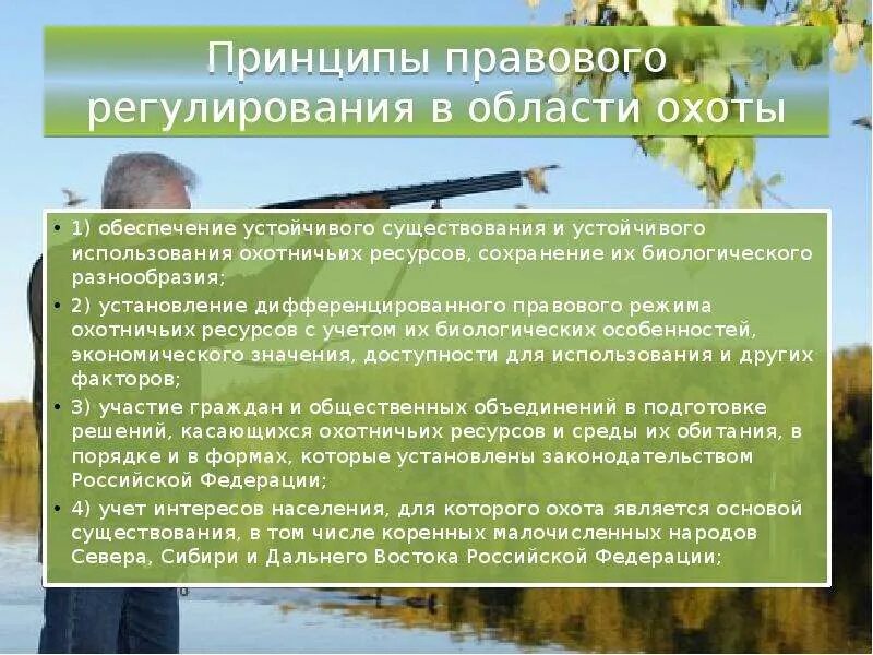 Минприроды закон. Правовое регулирование охоты. Правовое регулирование охоты и рыболовства в РФ. Правовое регулирование охоты и сохранение охотничьих ресурсов.