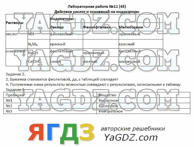 Практическая работа номер 3 11 класс. Лабораторная работа по естествознанию. Лабораторные по естествознанию 6 класс. Действие кислот на индикаторы лабораторная работа. Действие кислот и оснований на индикаторы лабораторная работа.