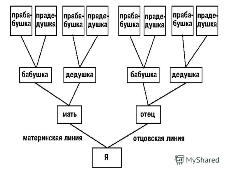 Родословная по фамилии. Родословная по фамилии генеалогическое. Древо по фамилии. Родословная по фамилии по фамилии.