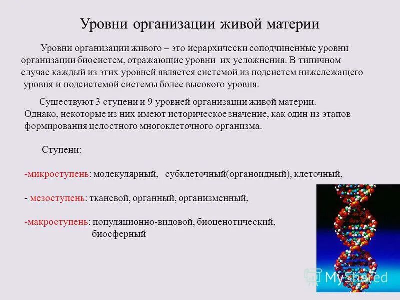 Последовательность уровня организации живого. Биологические уровни организации живой материи. Уровни организации живой материи организменный уровень. Уровни организации живой материи методы биологии. Структурно-функциональные уровни организации живой материи.