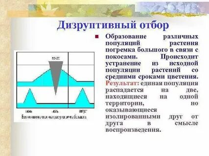 Дизруптивный разрывающий отбор примеры