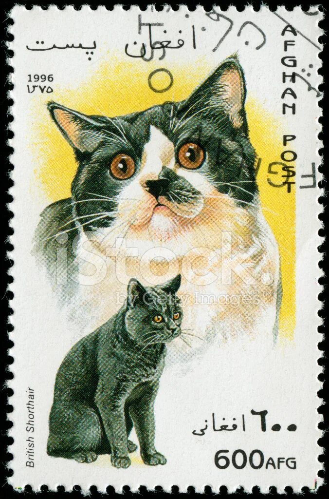 Марки кот. Кошки на почтовых марках. марки с котами. марка почтовая с котиком.