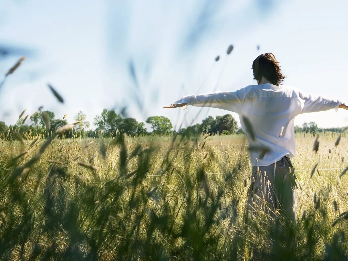 свободный lives. свободный lives. свободный lives. освобождение от оков. фри лайф фильм.