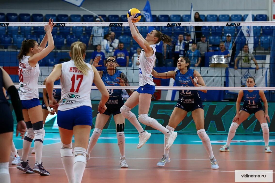 Женский волейбол. Динамо суперлига волейбол женщины. Уралочка динамо москва волейбол женщины. Женский волейбол команды суперлиги. Женская волейбольная суперлига.