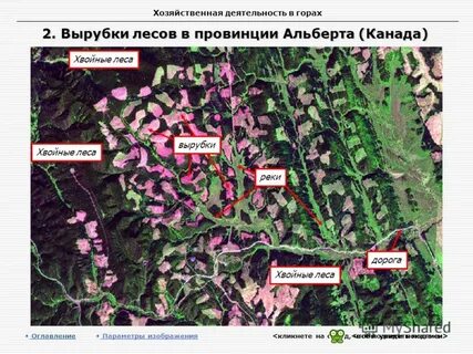Карта вырубок