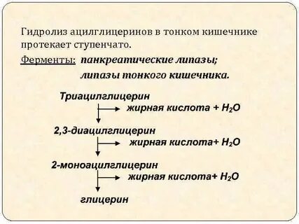 Ферменты гидролиза
