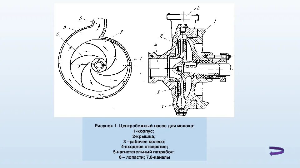 Выходное отверстие насоса. Центробежный насос д800 конструкция. Чертеж рабочего колеса насоса д500-65. Центробежного насоса д200-36б. Насос модель КМН 100 80 160 рабочее колесо.