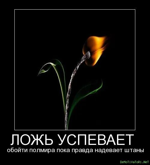 Неправда всегда. Демотиватор про враньё. Ложь успевает обойти полмира пока. Ложь успеет обойти полмира пока правда. Ложь успевает обойти полмира пока правда надевает штаны.