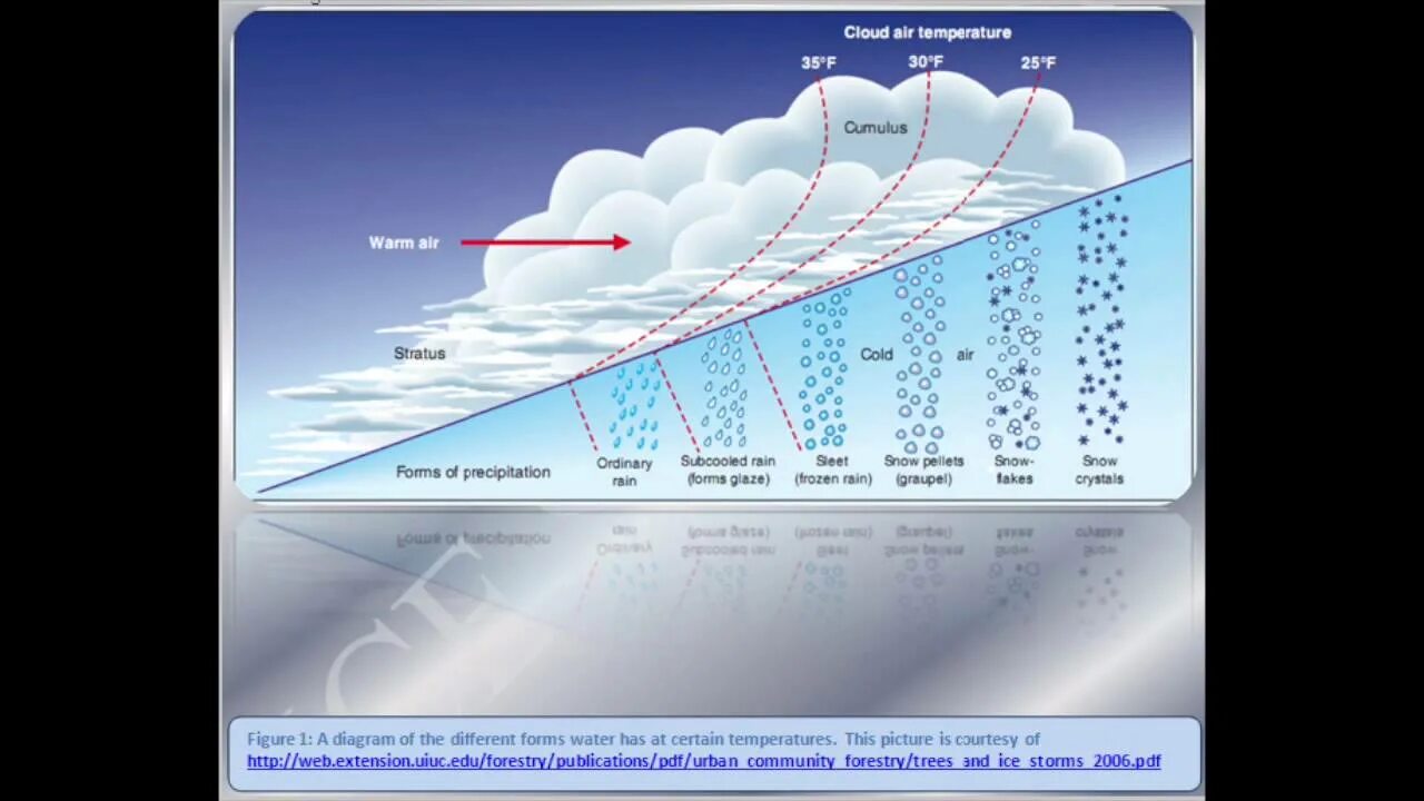 Схема образования шторма. Схемы шторм z. Классификация ледяного шторма. Диаграмма шторма. Risk of ice