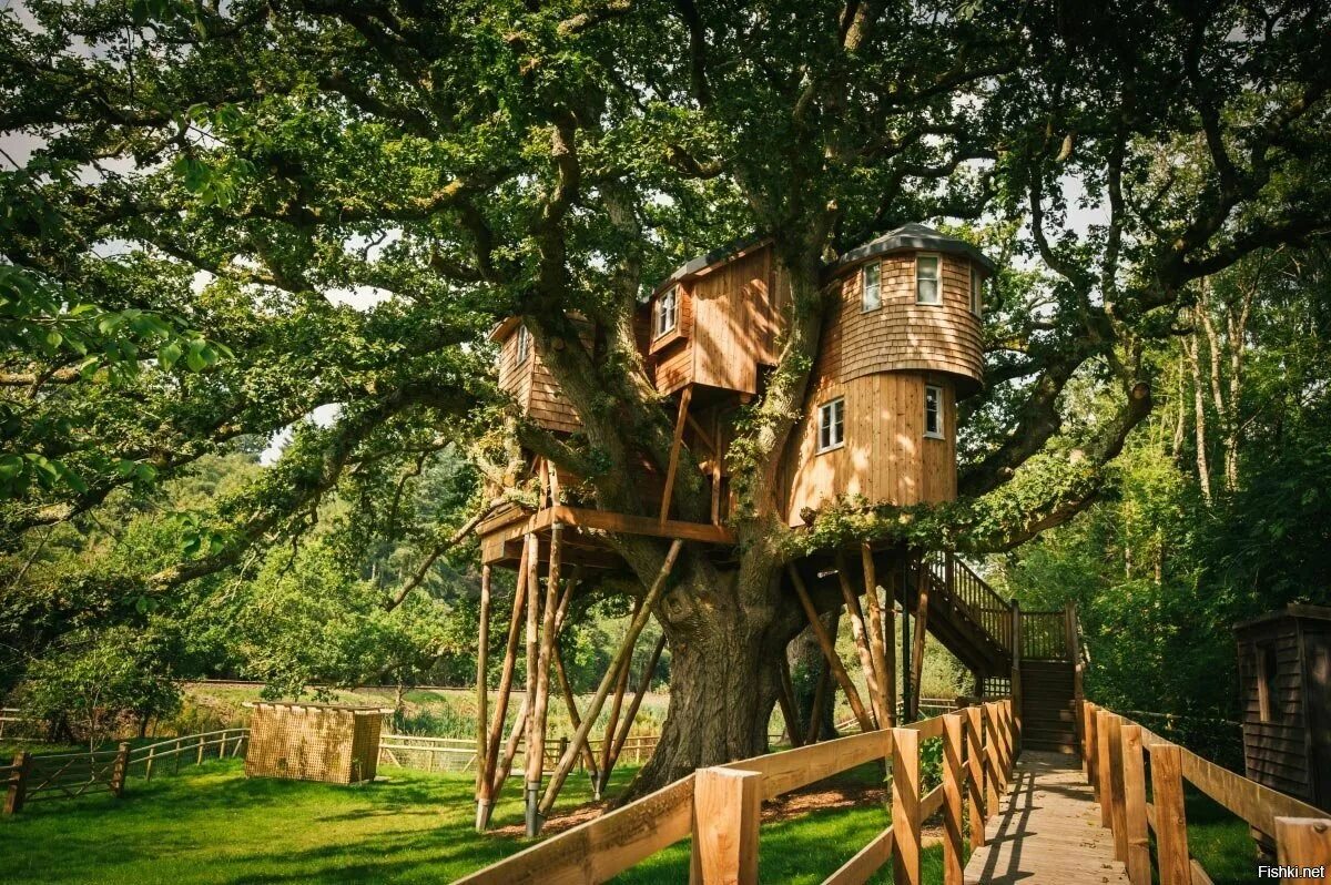 Hobbit Treehouse, США. «Дом на дереве» поселение Московский. Алникский дом на дереве. Отель Treehouse домики на деревьях. Домик на дереве votv