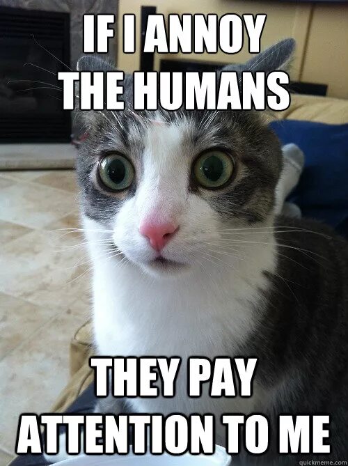 Pay little attention. Pay attention to. pay attention картинка. гиф pay attention. pay attention meme.